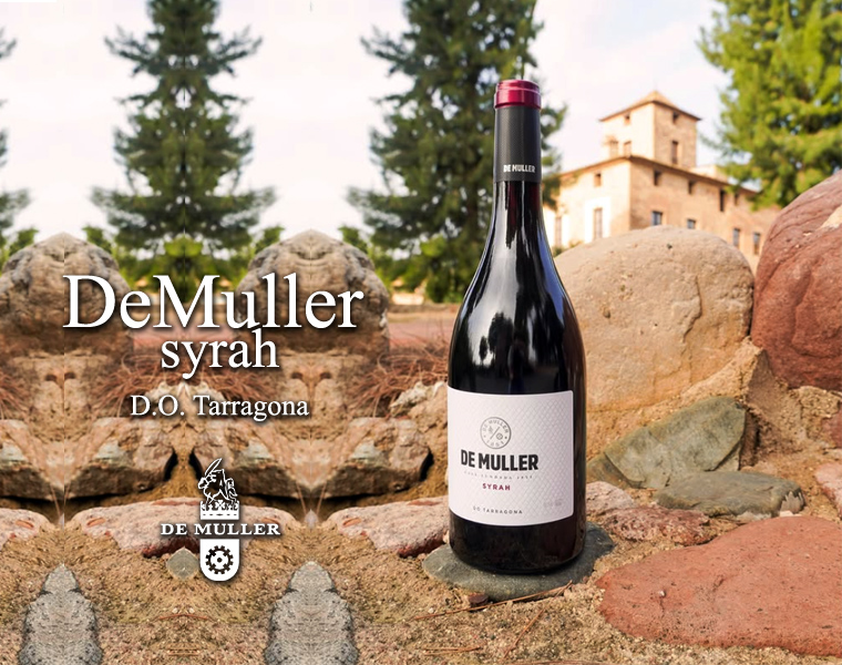 De Muller syrah  – Vi del mes de Juny 2025